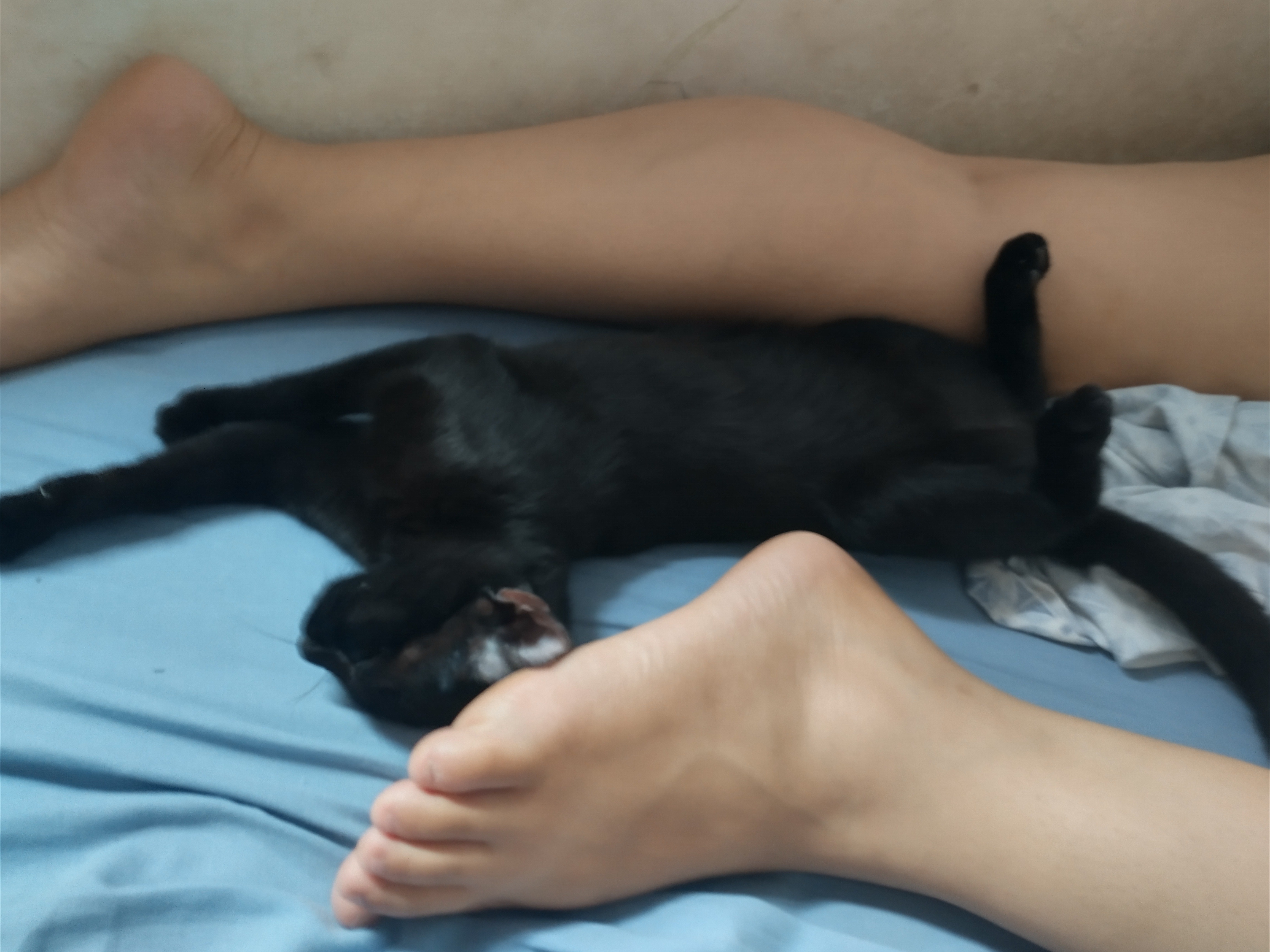 Aimee๐๐ banner image