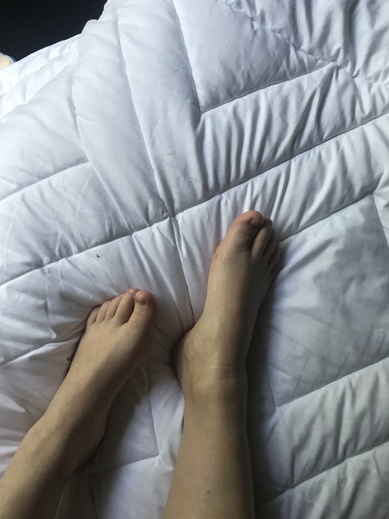 Rose cover image
