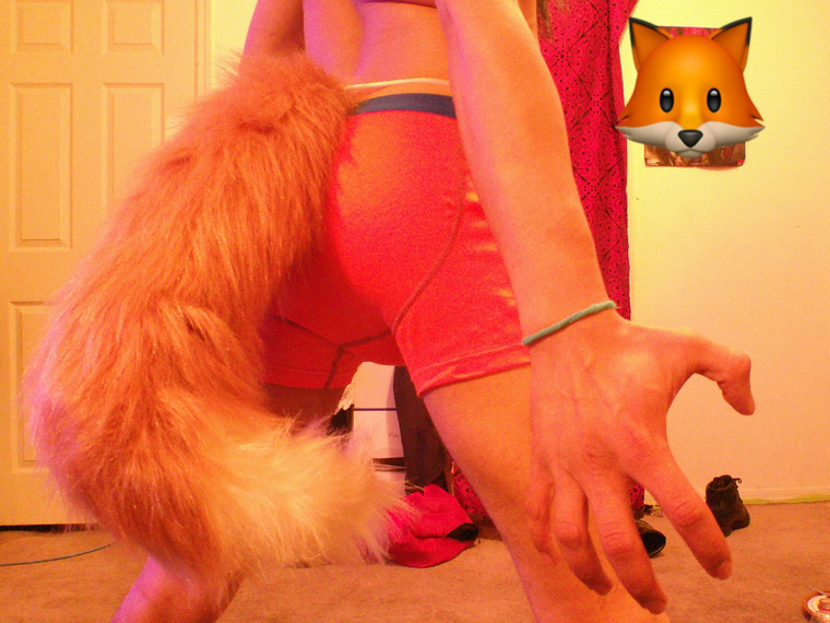 FoxKing69 cover image