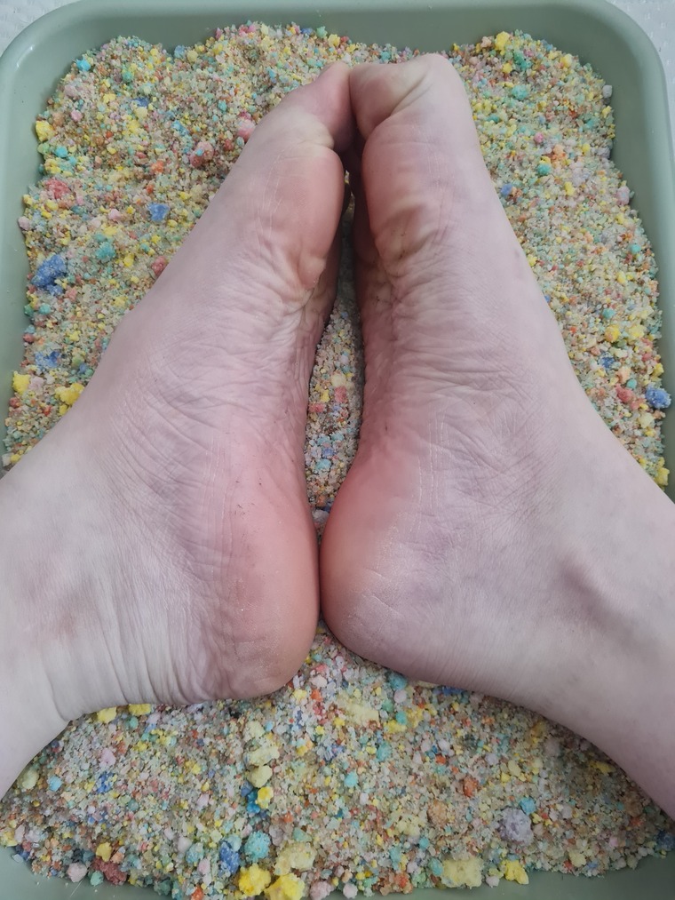 Holly feet pictures and more cover image