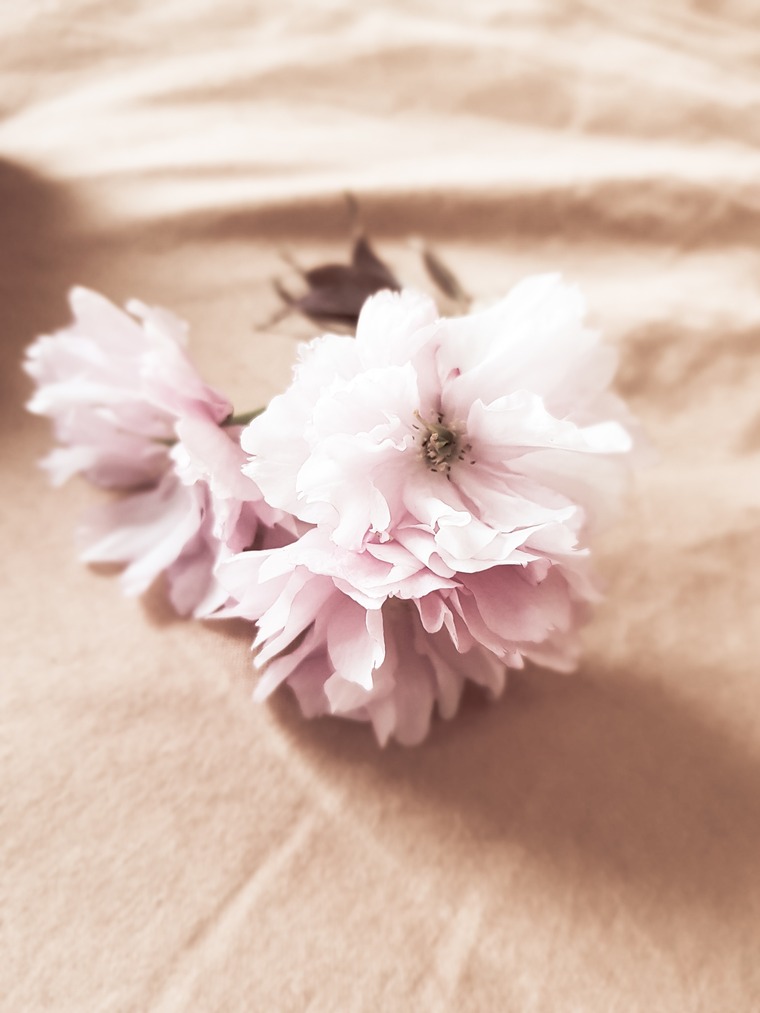 Hannah banner image