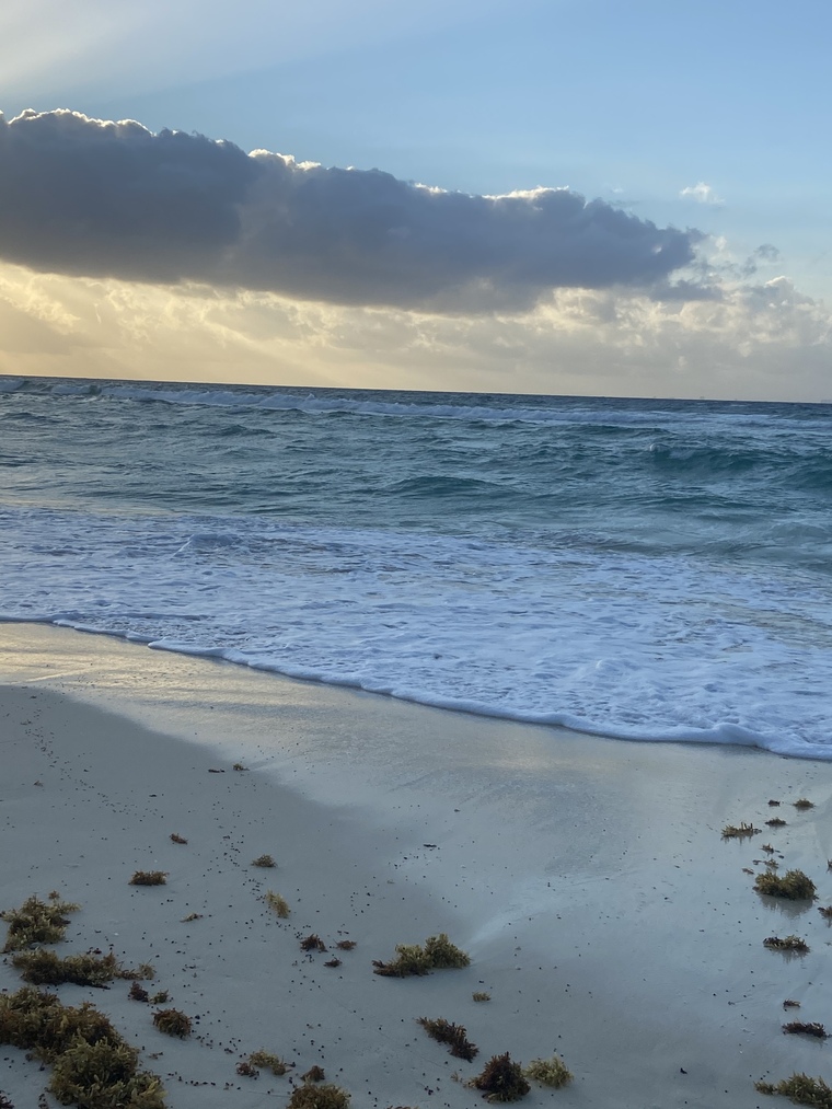 Jenn banner image