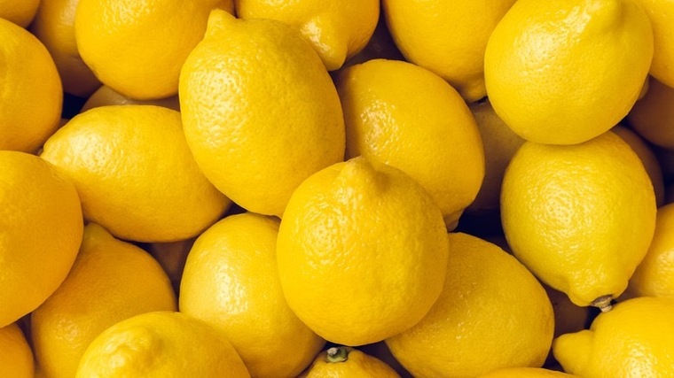 The sexiest lemonade banner image