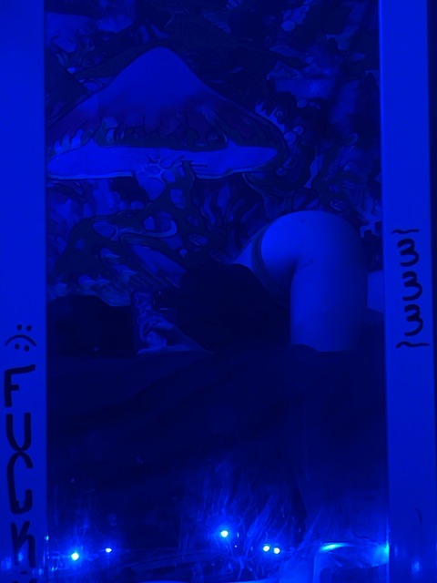 Kiwi🤩 cover image