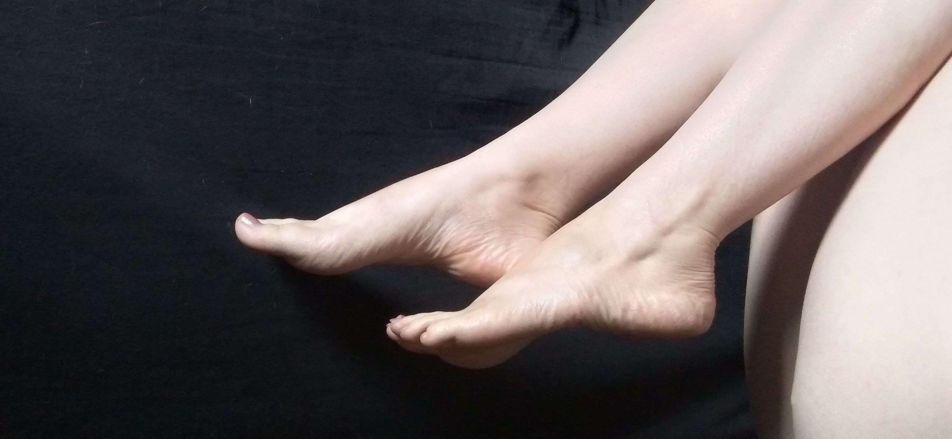 xxxTaurus84xxx banner image