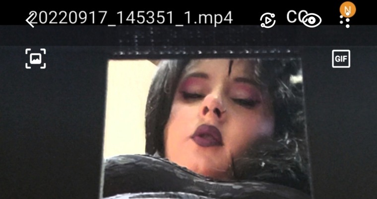 SexyPokemom banner image