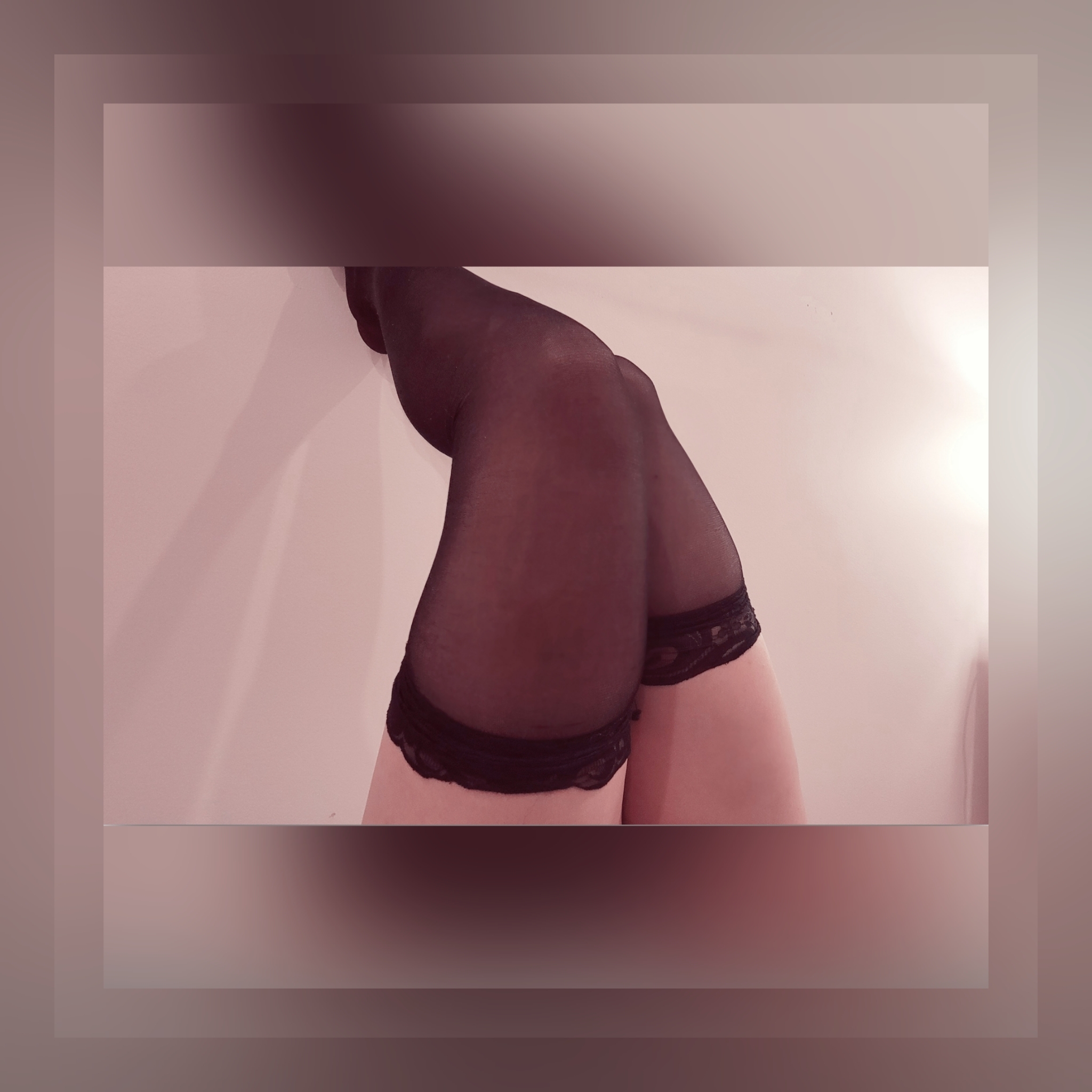 Sexy Red Dahlia banner image