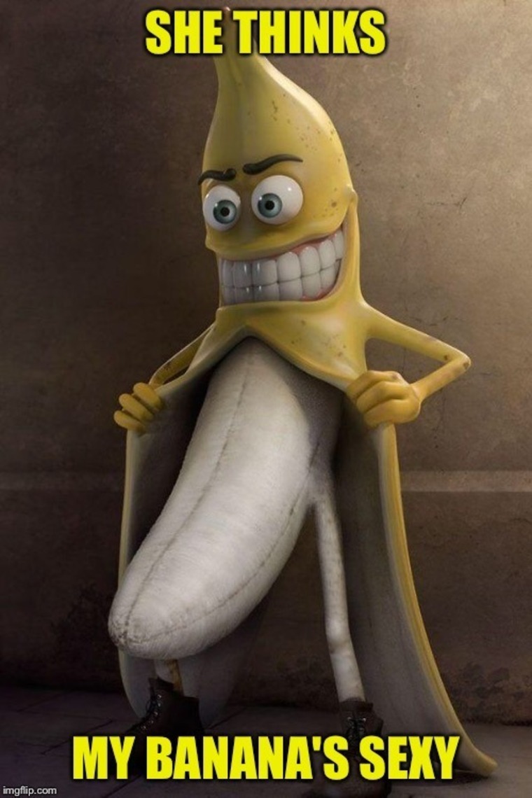 Survival Scott banner image