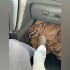 Sexy silk soles avatar