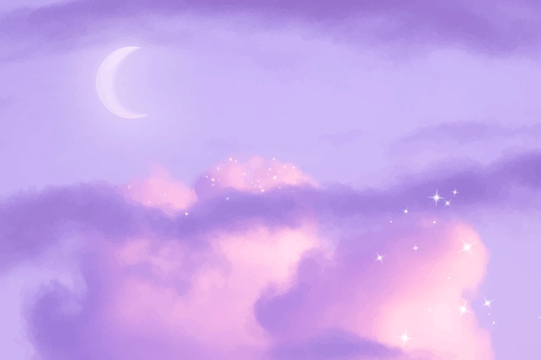 Stella banner image