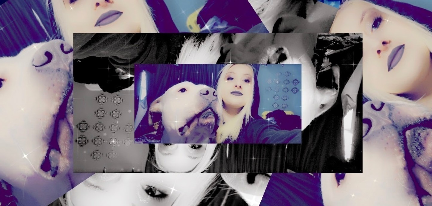 Alexis banner image