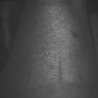 Sexy with the Scars avatar