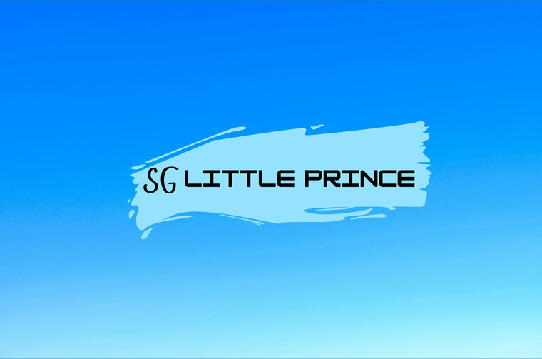 sglittleprince cover image