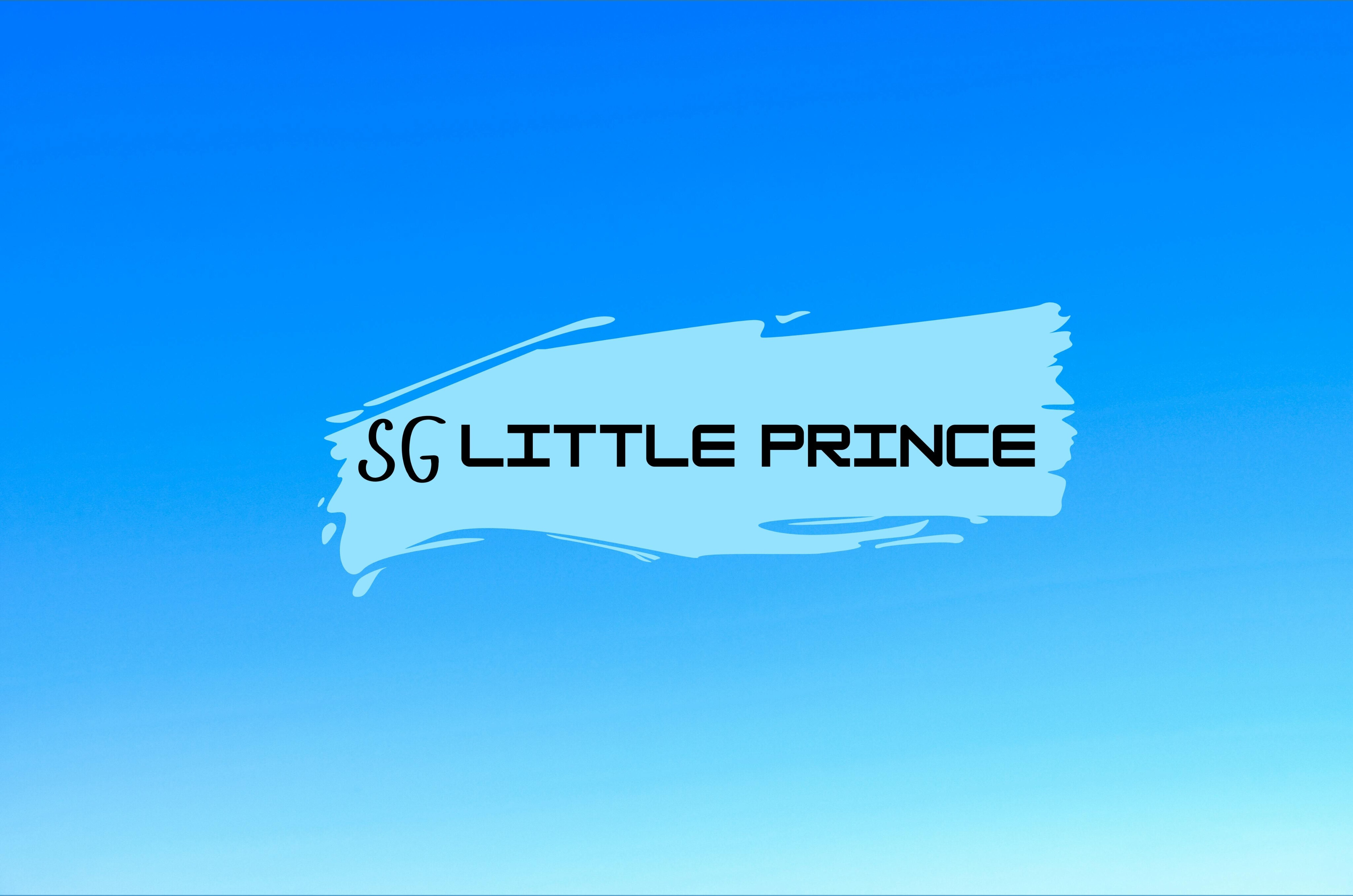 sglittleprince banner image