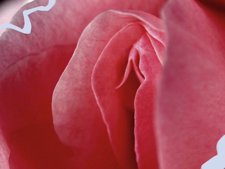 Cupcake cover image
