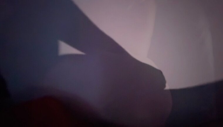 Shaded Desires banner image