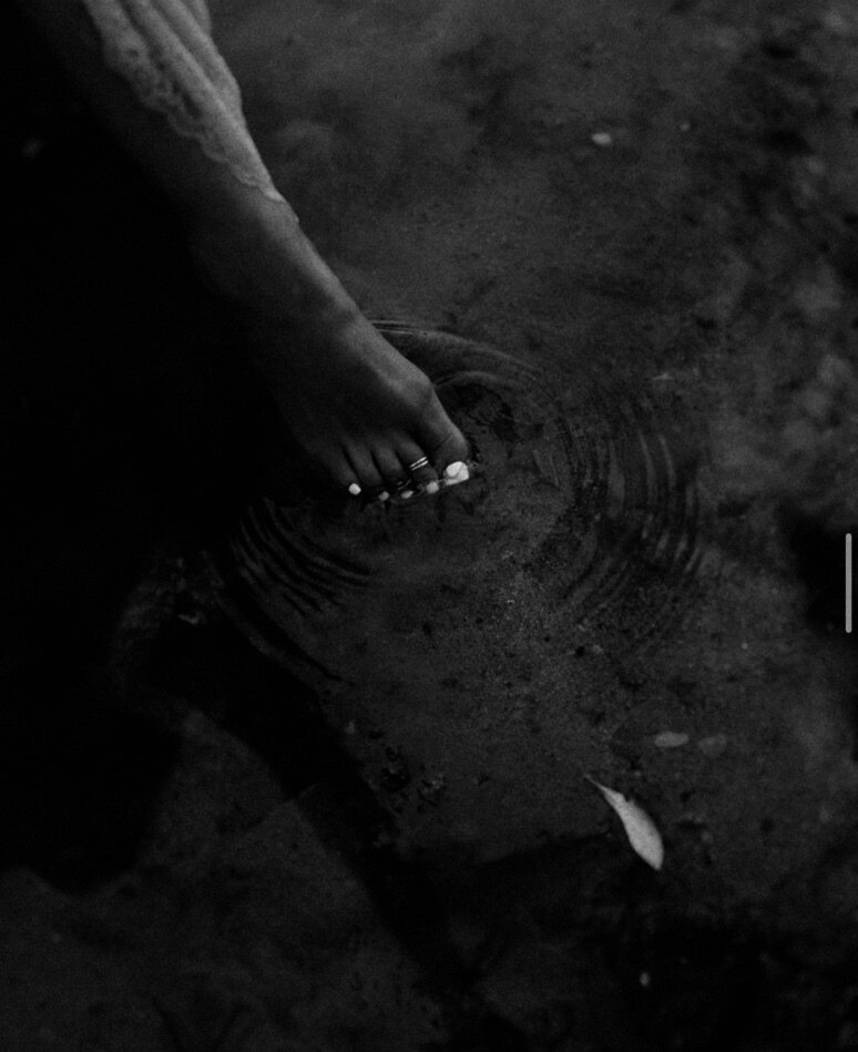 Shae Butters banner image