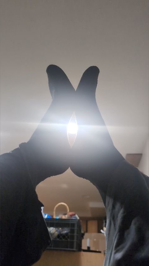Shaggoth cover image