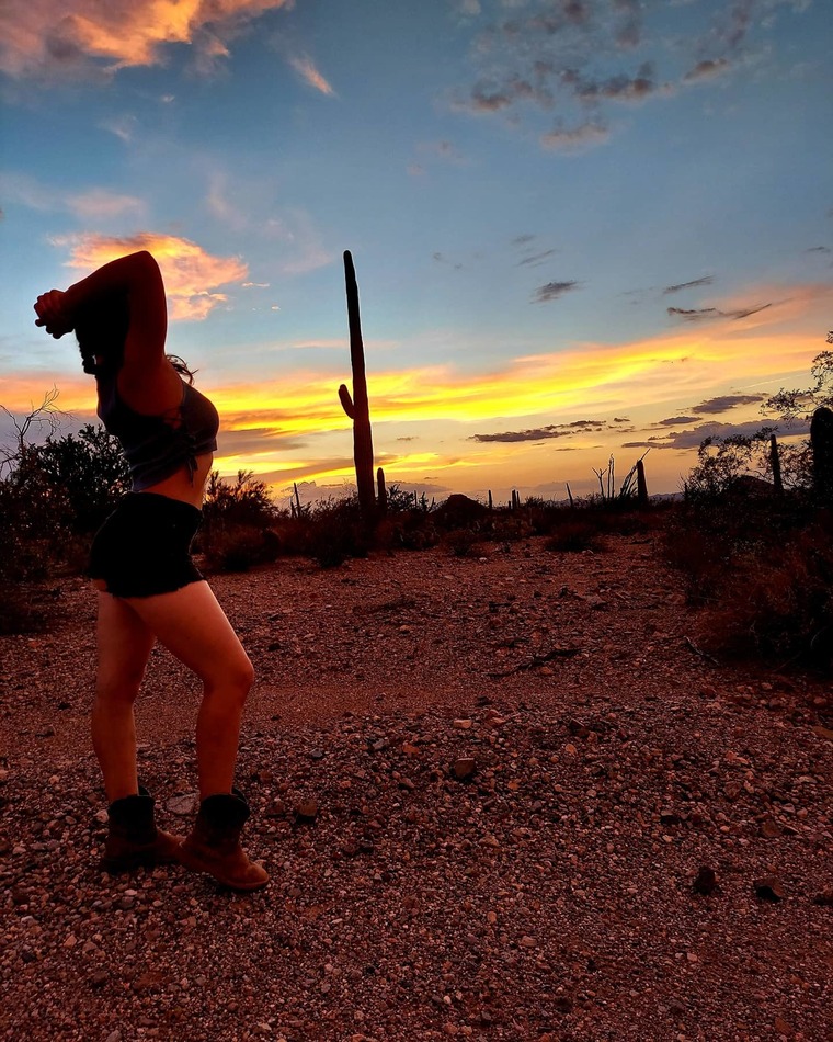Lily Shay banner image