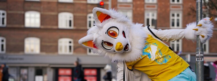 ShakkiFox banner image
