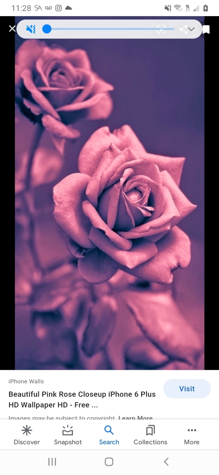 Marissa Hensen cover image