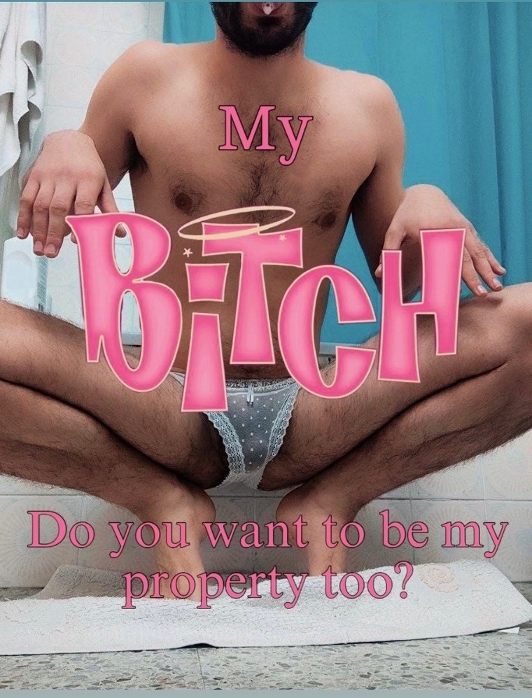 Shami quiere jugar cover image