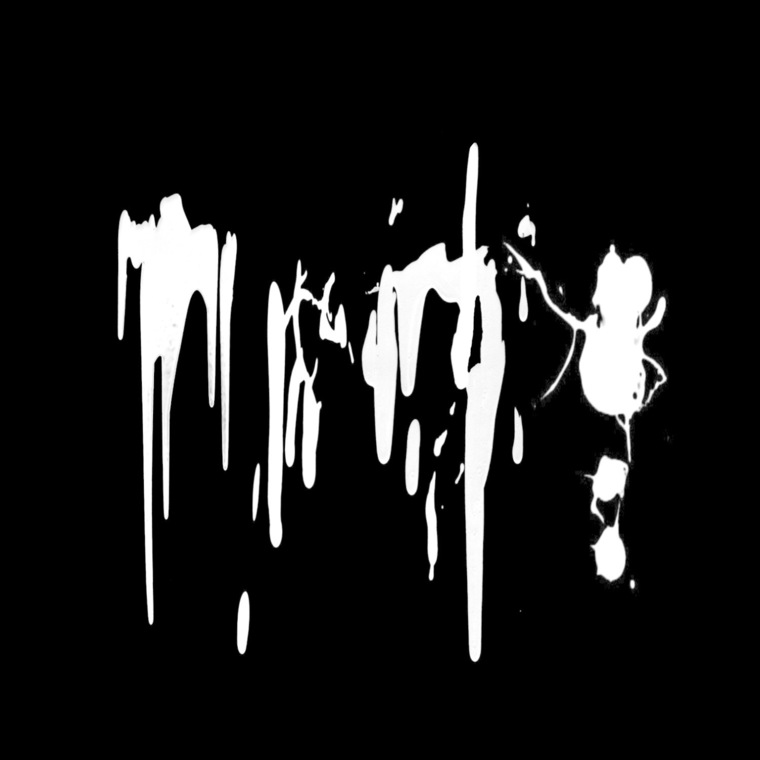Wayne cover image