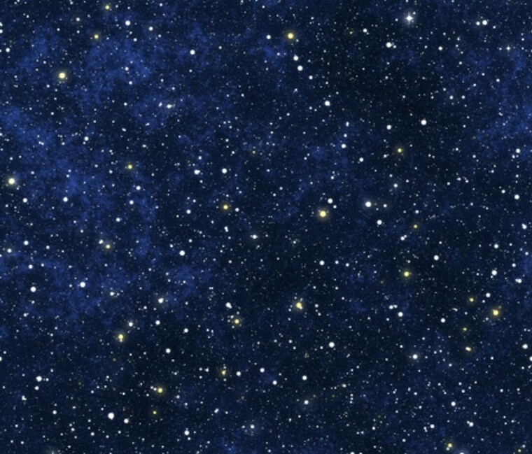 Shanon ❤️ banner image