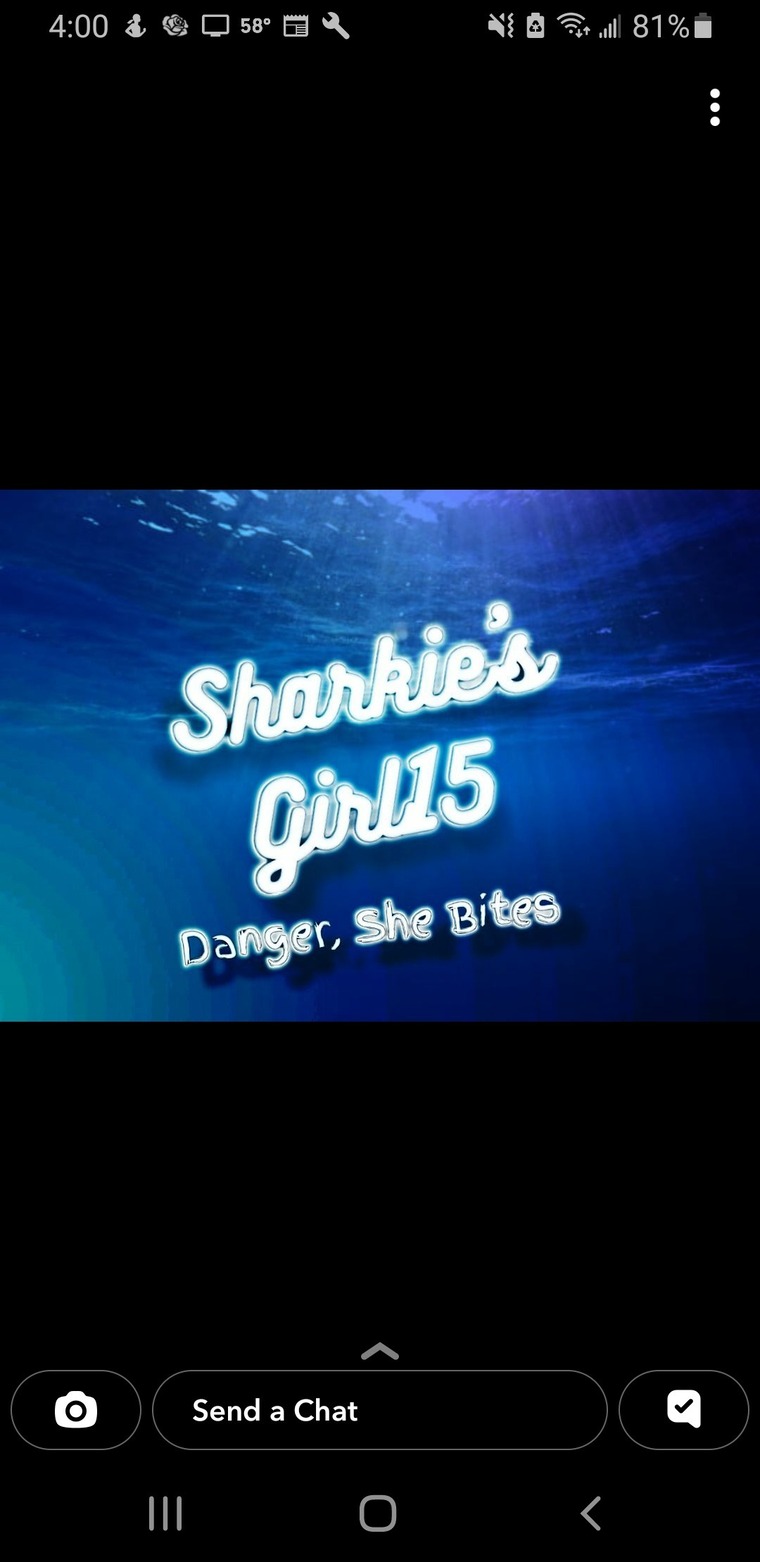 Sharkie'sGirl15 banner image