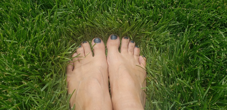 Shass Toes banner image