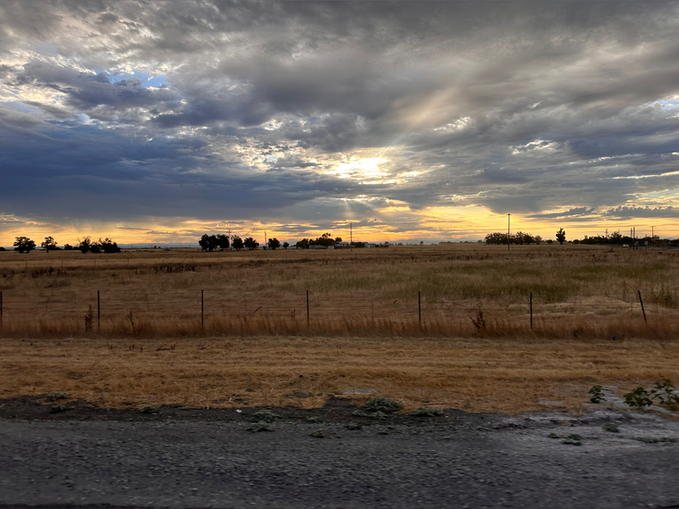 Shasta cover image