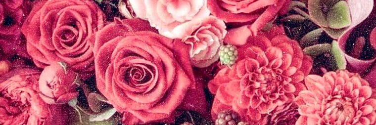 Shay ๐ผ๐ banner image