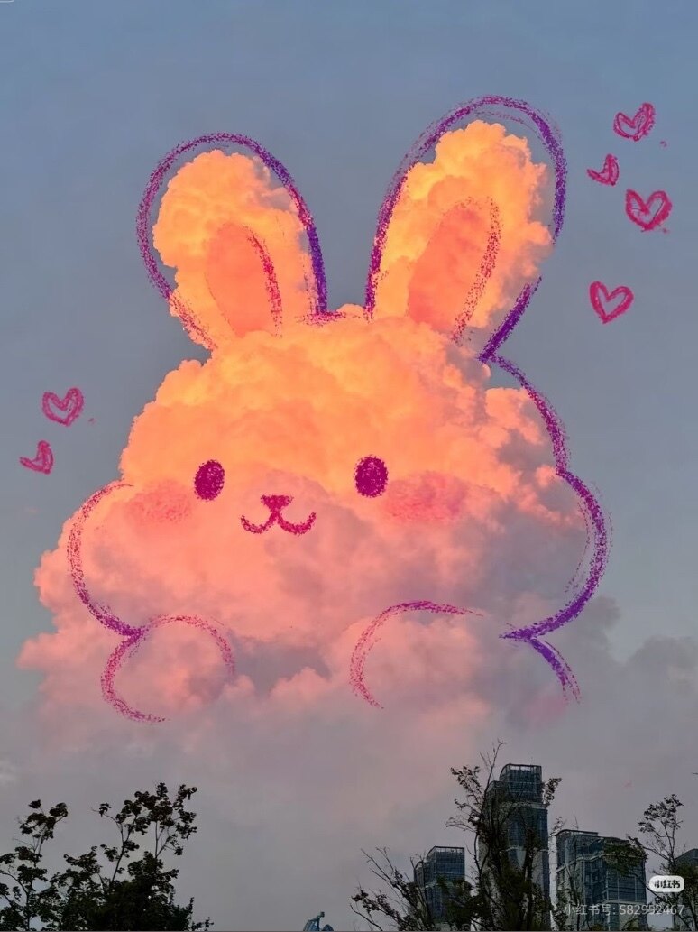 shaycee banner image