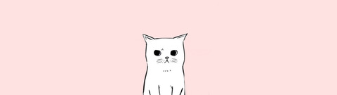shaye<3 cover image