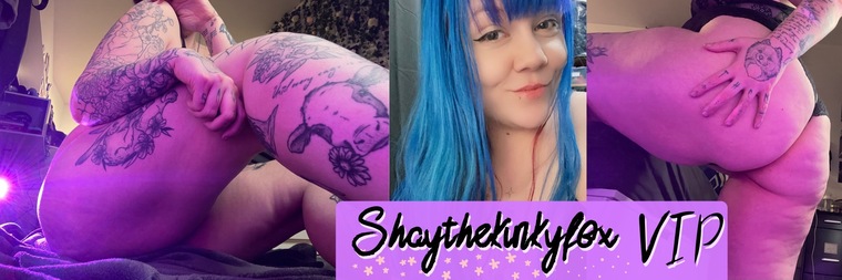 Shay the Kinky Fox cover image