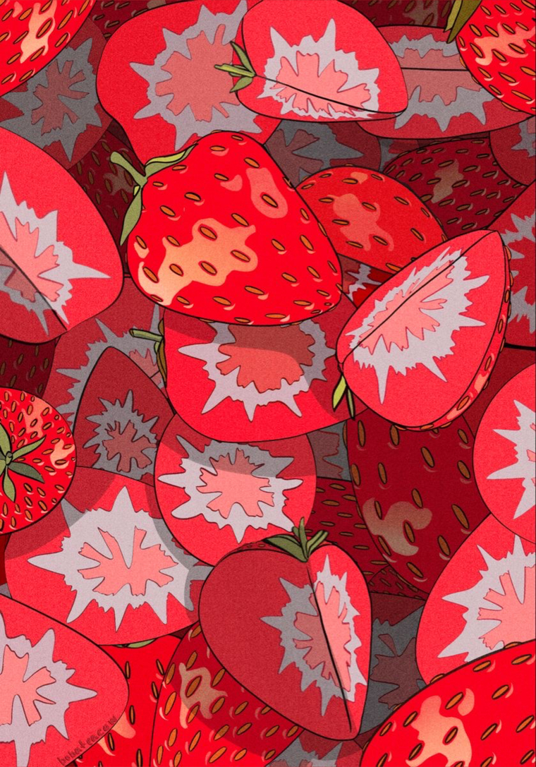 carla shnaider banner image