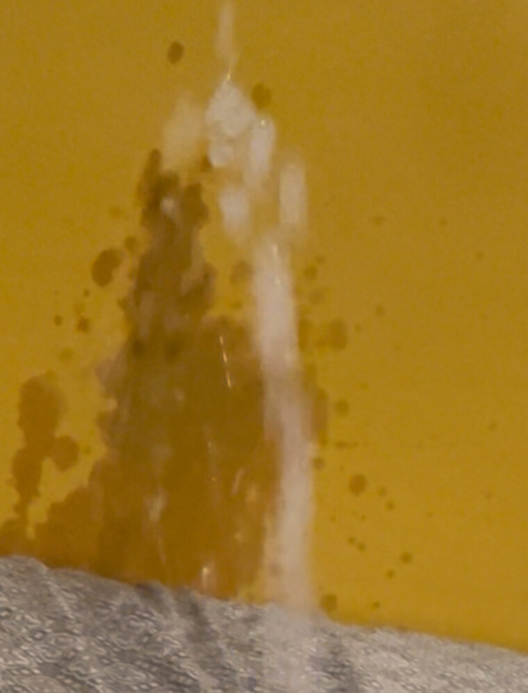 NOFREEDRIP💦🤑 banner image