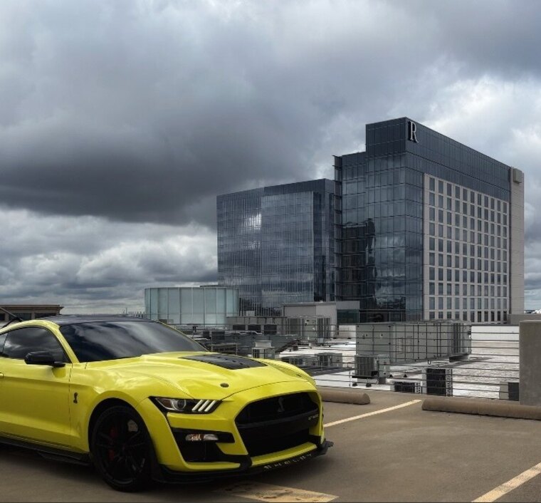 Shelby cover image