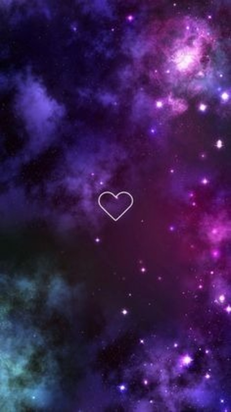 Shelly cover image