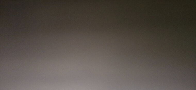Shelly banner image