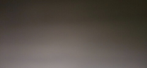 Shelly cover image