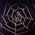 Shibari Life avatar