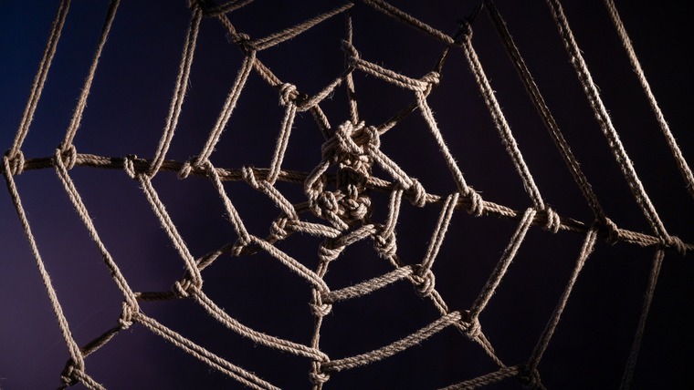 Shibari Life banner image