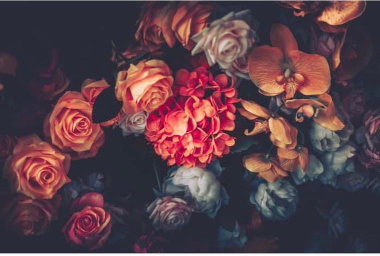 DeMarie cover image