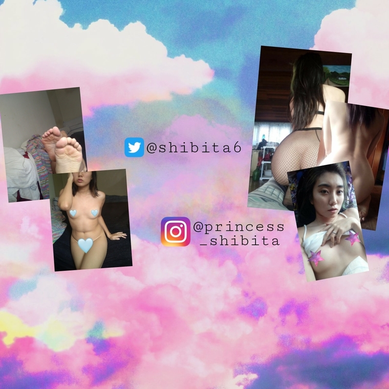 Shibita_princess cover image