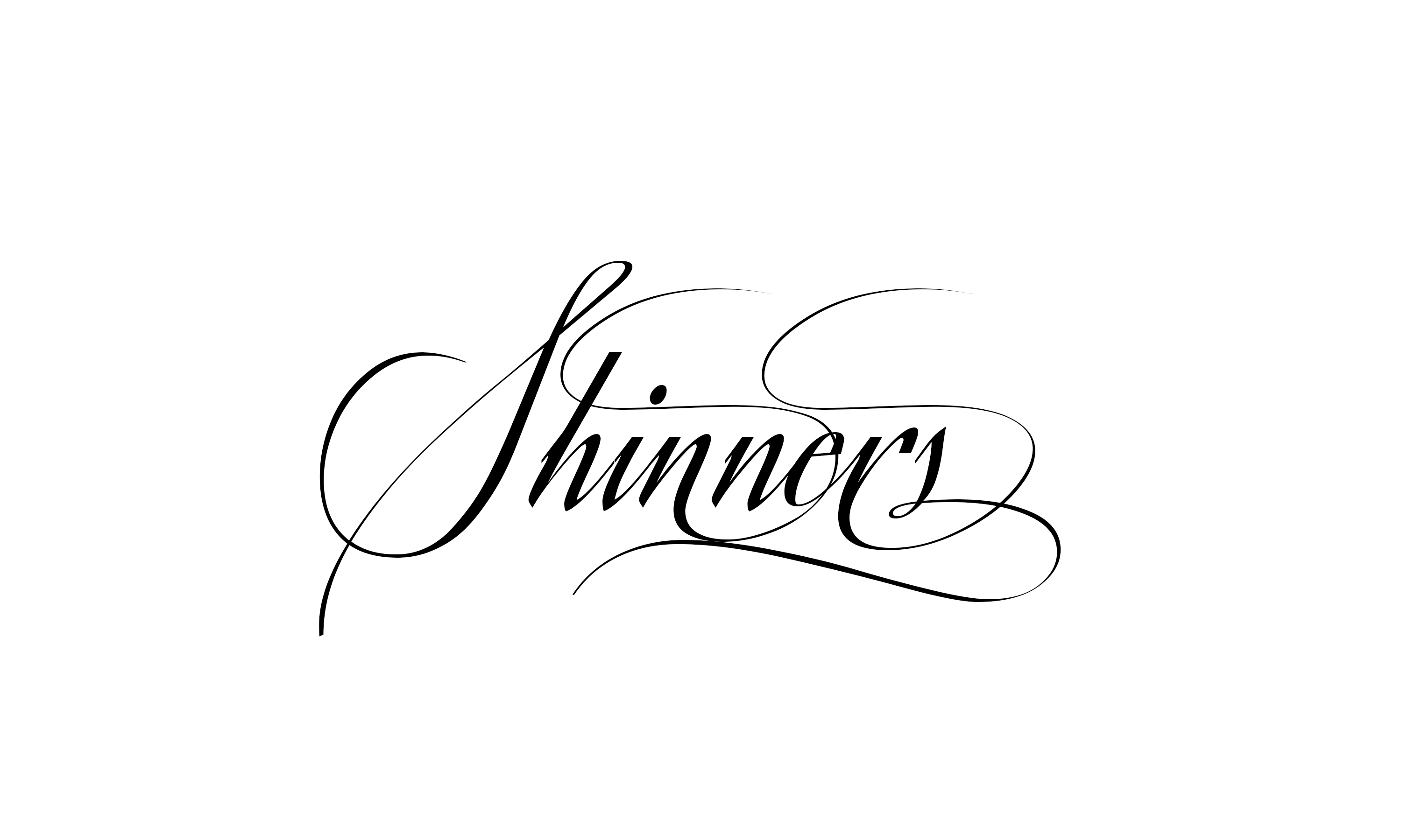 Shine Footography banner image