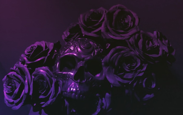 Shinigan banner image