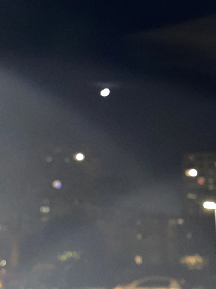shiny cover image
