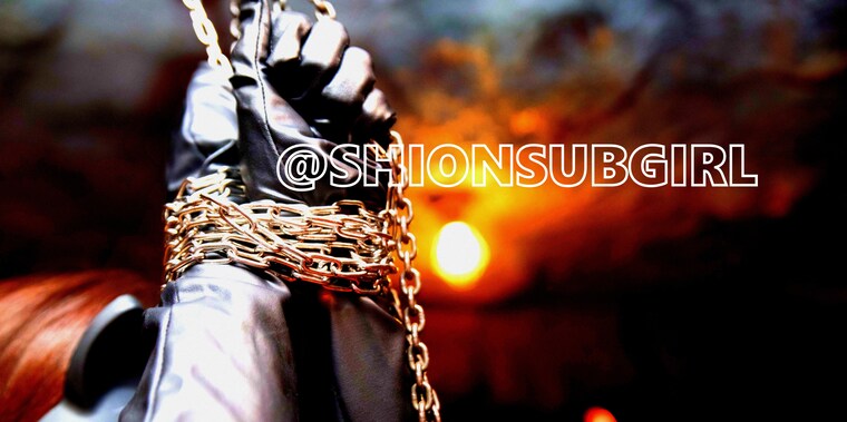 SHION SUB GIRL cover image