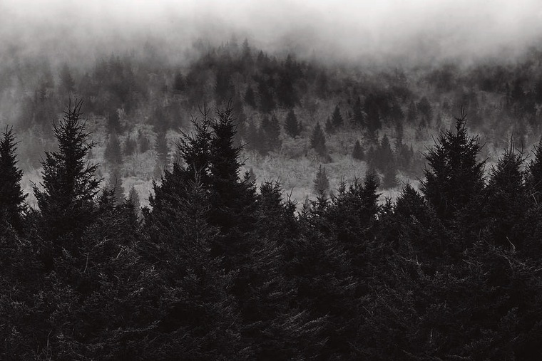 Shivani Renae🖤 banner image